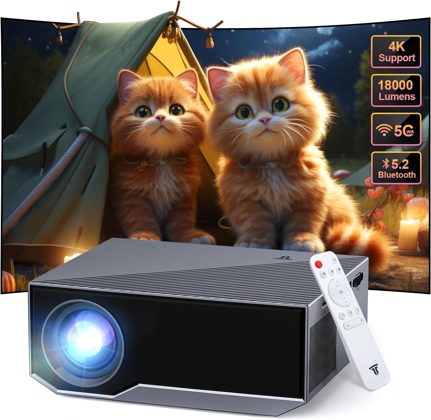 Video Projectors