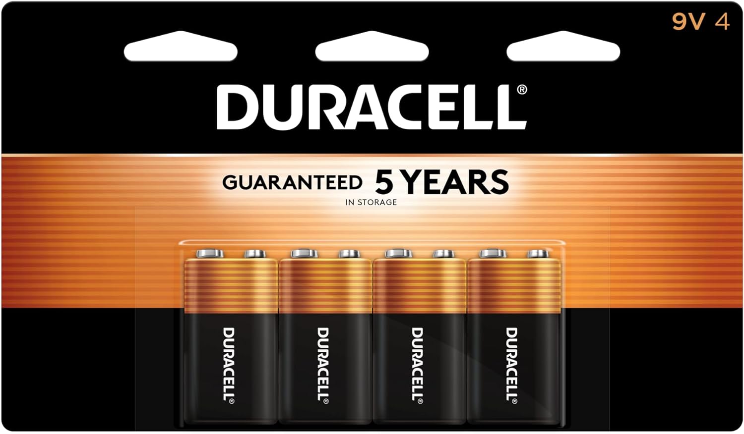 Household Batteries