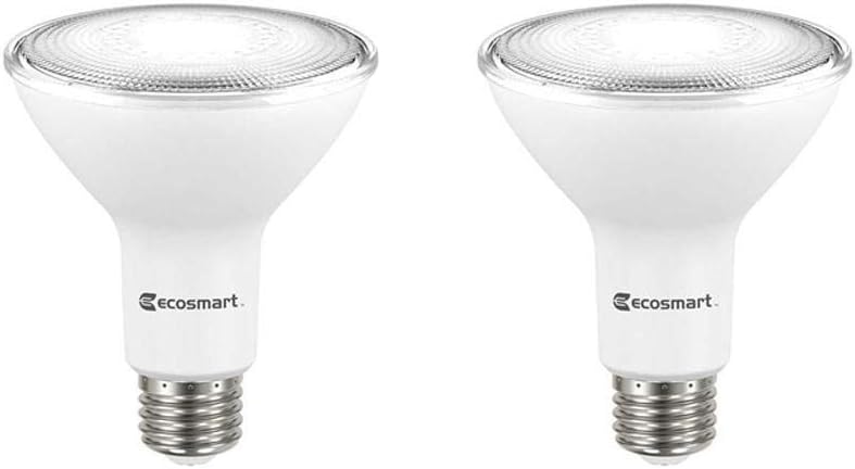 EcoSmart