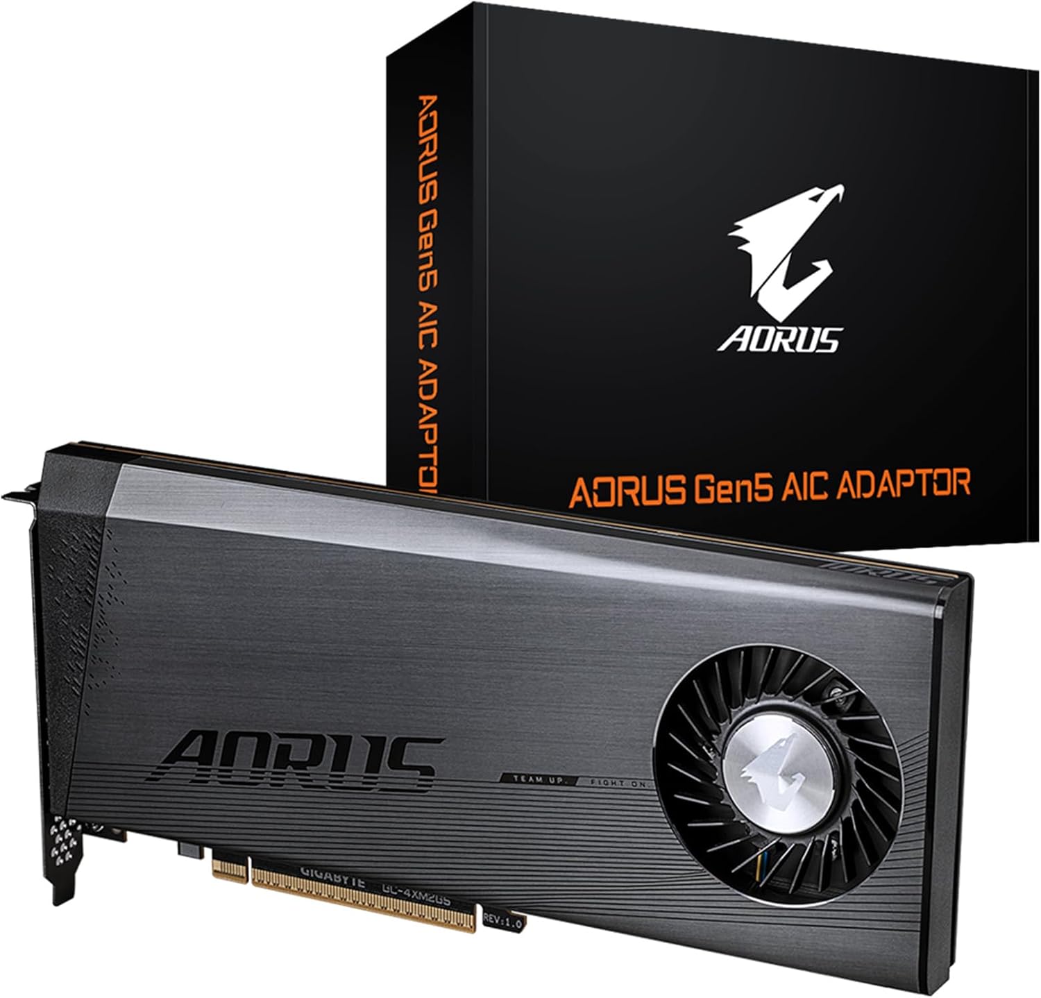 AORUS