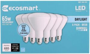 Ecosmart Daylight LED BR30 Bulb, 65W Eq, 9W, 685LM, 5000K, 6-Pack