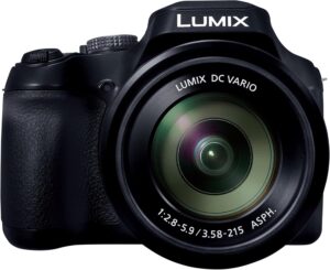 Panasonic LUMIX FZ80D 20-1200mm Zoom, 4K Video, OIS - DC-FZ80D