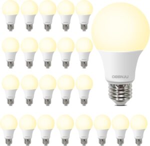 24 Pack LED Light Bulbs Soft White 2700K, 60W Equivalent, A19, 800LM, E26