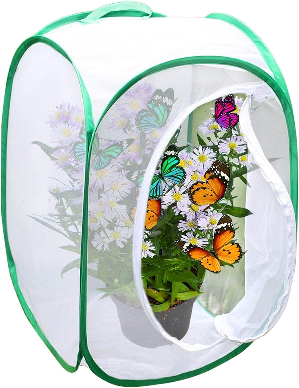 SunGrow Foldable Butterfly Habitat, 24" Cage for Caterpillars, Insect Farm
