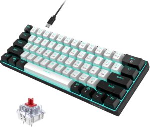 Snpurdiri 60% Wired Mechanical Gaming Keyboard, Ice Blue LED, 61 Keys, Red Switches (Black-White)