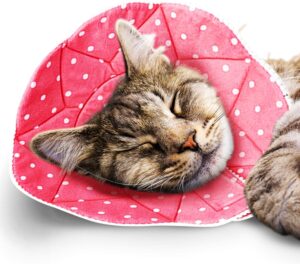 Here’s the rewritten text for SEO (under 60 characters):  
SunGrow Soft Cat Cone Collar – Post-Surgery Recovery E-Collar  
Let me know if you'd like any adjustments!