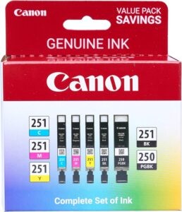Canon PGI-250/CLI-251 5 Color Amazon Pack