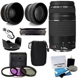 Canon EF 75-300mm f/4-5.6 III Zoom Lens with 2X, Wide Angle & Kit (8pc)
