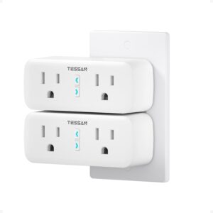 TESSAN 2 Pack Smart Plug, Dual Sockets, Alexa/Google, Timer
