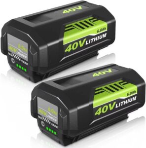 2Pack 6.0Ah Ryobi 40V Battery OP40601