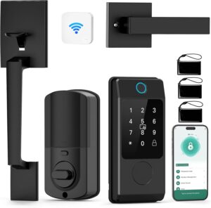 Miuedo WiFi Smart Lock Black