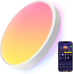 Govee 4300LM RGBIC Smart Ceiling Light