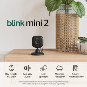 Blink Mini 2 2-Cam Kit