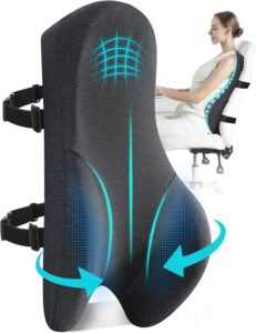 Teemour Memory Foam Lumbar Support Pillow
