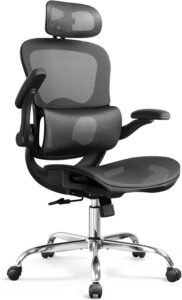 DEVAISE Ergonomic Gaming Chair