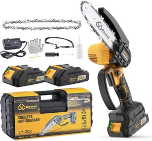 Cordless Mini Chainsaw w/ 2 Batteries