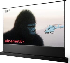 AWOL Vision 120" Motorized ALR Floor Screen F220C
