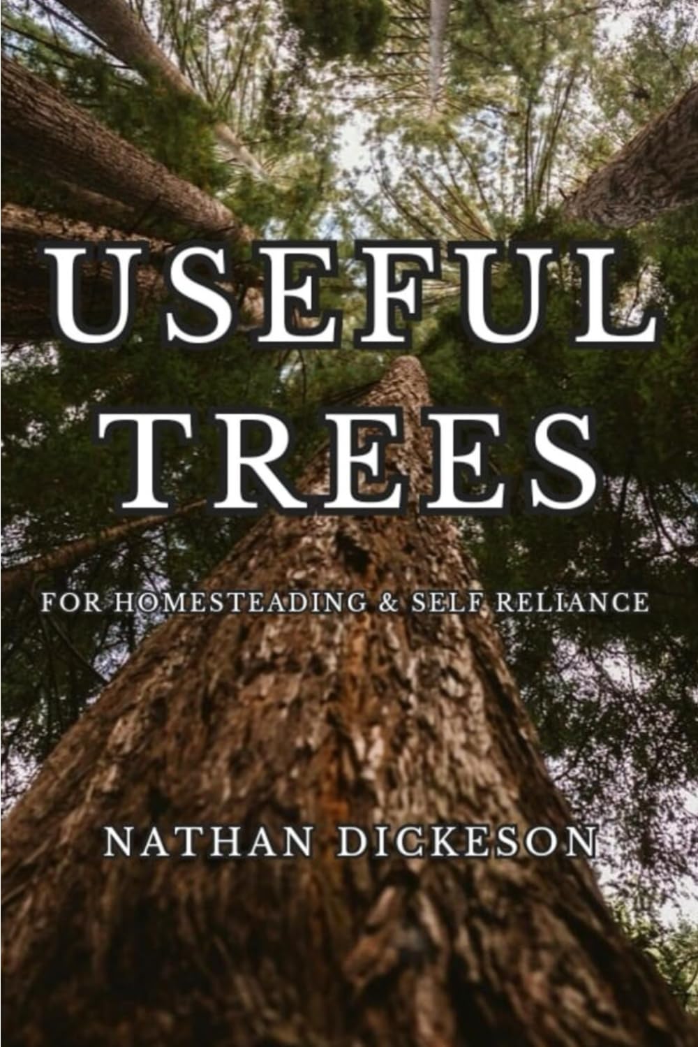 Useful Trees for Homesteading
