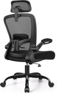 FelixKing Ergonomic Office Chair