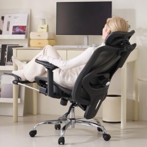 Ergonomic Office Chair, 3D Adjustable, Footrest, Black
