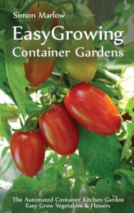 Easy Container Gardens