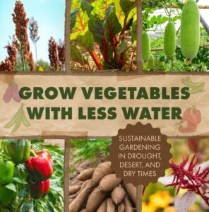 Grow Veggies with Less Water