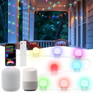 Smart RGB+IC String Lights 200LED 76ft