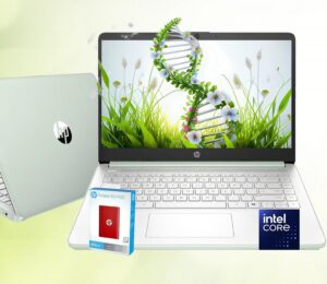 HP 14" N150 32GB/1.6TB Win11 Green