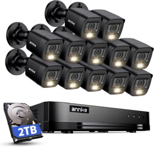 ANNKE 16CH DVR + 12 Cameras, 2TB