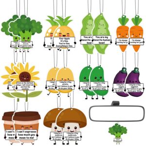 Car Air Fresheners, 10 Styles