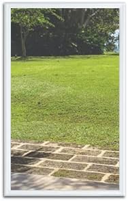 22x36 Entry Door Clear Glass Insert