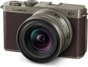 Panasonic LUMIX S9 Gold