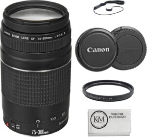 Canon EF 75-300mm f/4