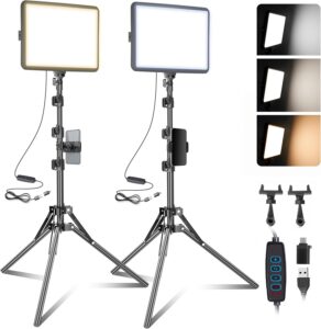 NiceVeedi Studio Light Kit