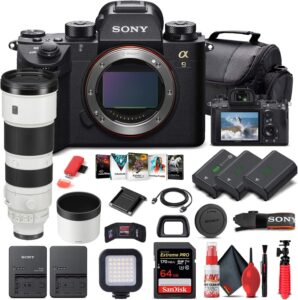 Renewed Sony a9 II Kit