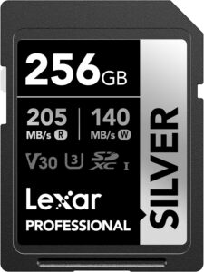 Lexar 256GB Silver SD Card