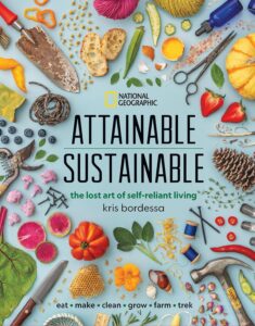 Attainable Sustainable: Discover the Lost Art of Self
